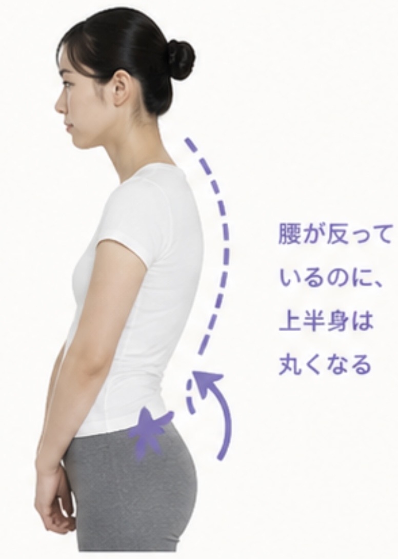 お腹猫背